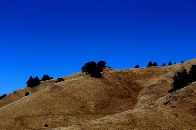 Photo low angle view of landscape against clear blue sky