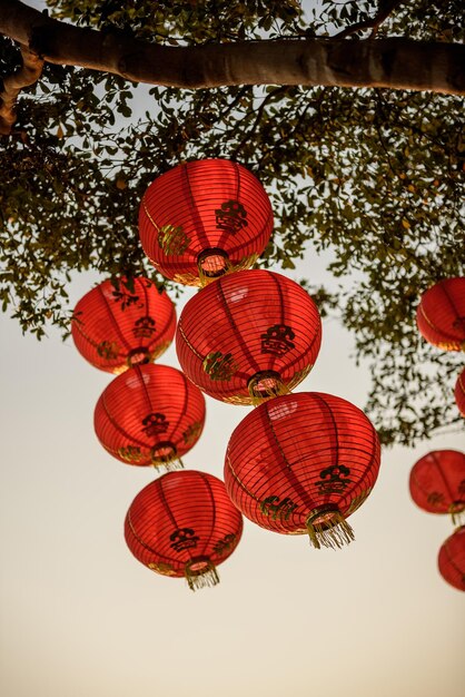 Photo low angle view of lanterns hanging on tree