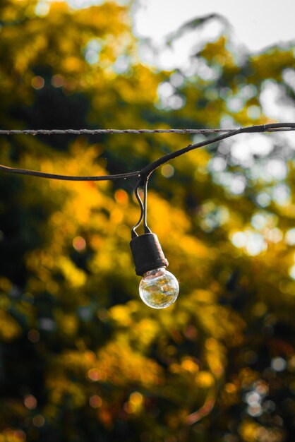 Low angle view of light bulb