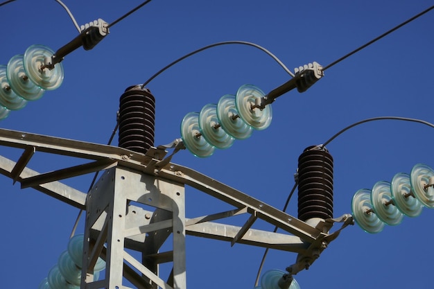 空に照らされた電球の低角度の視点