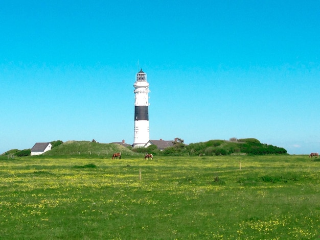 Low angle view of lighthouse by grassy field against blue sky