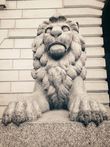 Photo low angle view of lion sculpture at hamburg rathaus