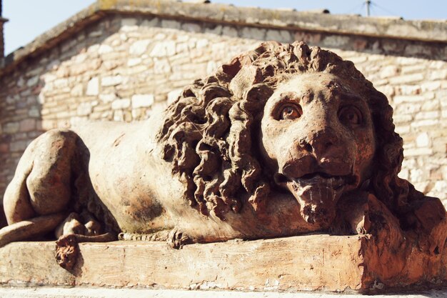 Foto vista a bassa angolazione della statua del leone ad assisi