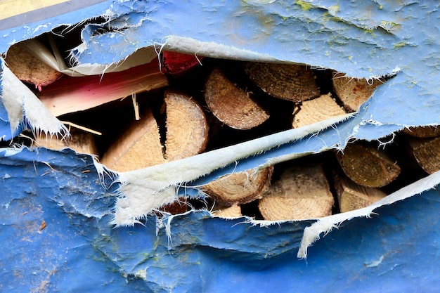 Low angle view of log stack covered