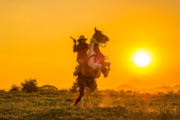 Low angle view of man on field against sky during sunset