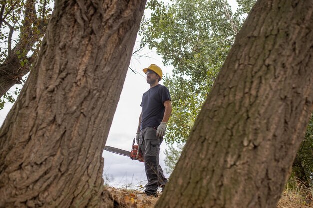 Photo low angle view of man holding chainsaw standing by tree trunk