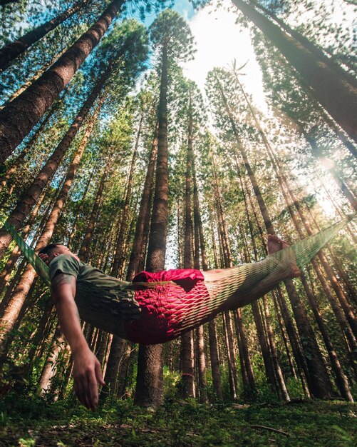 Photo low angle view of man relaxing on hammock in forest