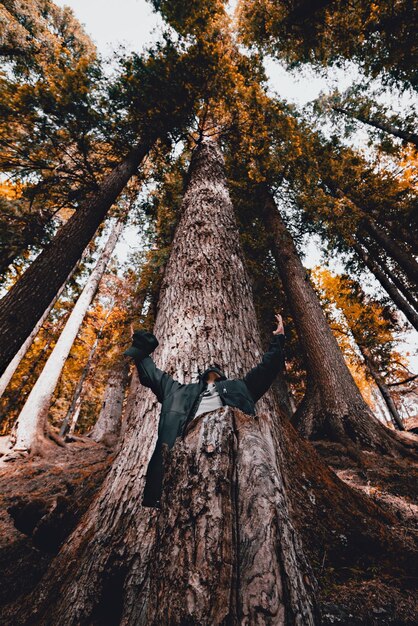 Foto vista ad angolo basso di un uomo in piedi contro un grande albero nella foresta