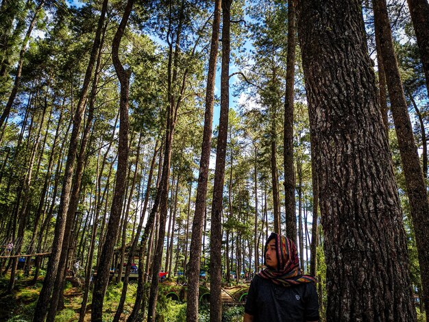 Foto vista ad angolo basso di un uomo in piedi tra gli alberi della foresta