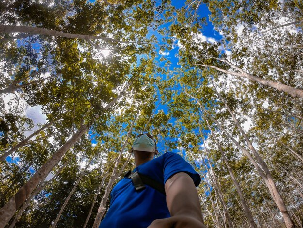 Low angle view of man standing by tree against blue sky