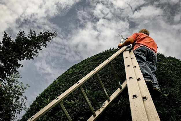 Photo low angle view of man standing on ladder