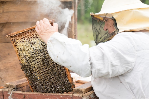 木材を加工する人の低角度の視点
