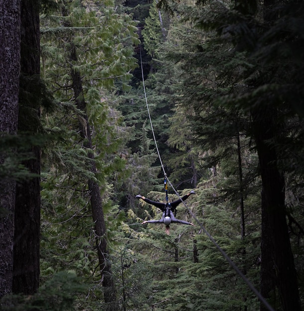 Photo low angle view of man zip lining in forest