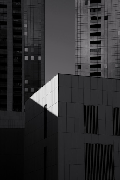 天空を背景に近代的な建物の低角度の景色