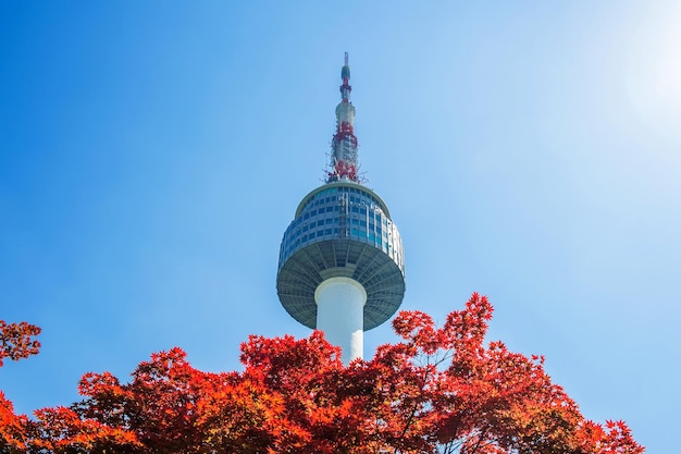 Foto vista ad angolo basso di un edificio moderno