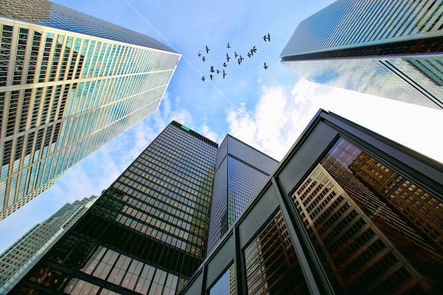 空に照らされた近代的な建物の低角度の景色