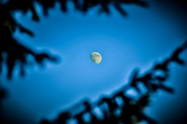 Low angle view of moon against blue sky