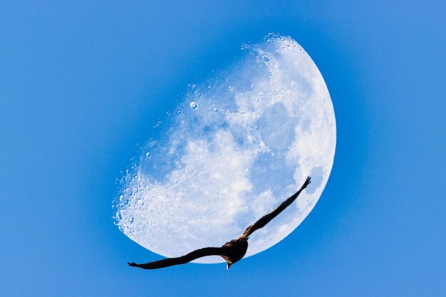 Low angle view of moon against blue sky