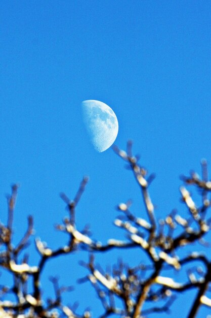 Low angle view of moon against blue sky