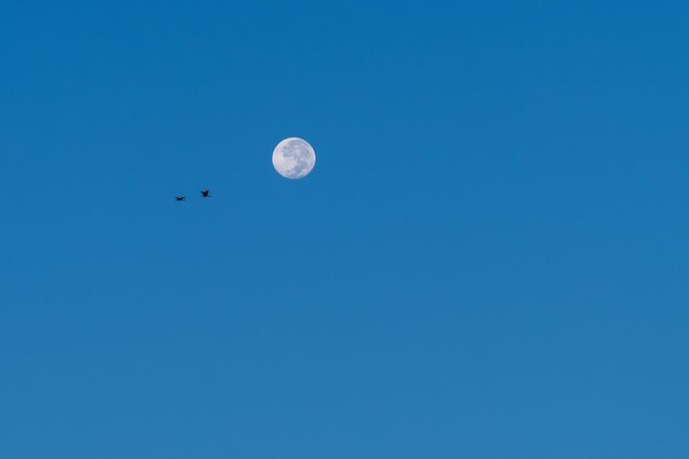 Low angle view of moon against clear blue sky