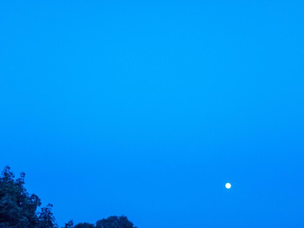 Low angle view of moon against clear blue sky