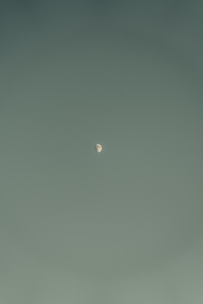 Photo low angle view of moon against clear sky at night