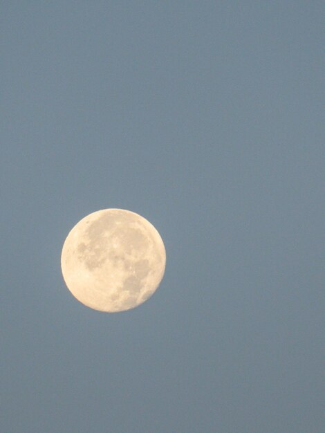 Photo low angle view of moon against clear sky at night