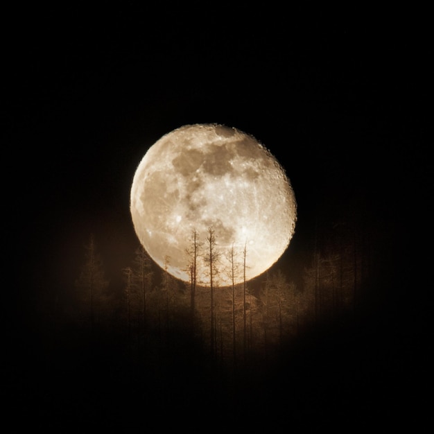 Low angle view of moon against sky at night