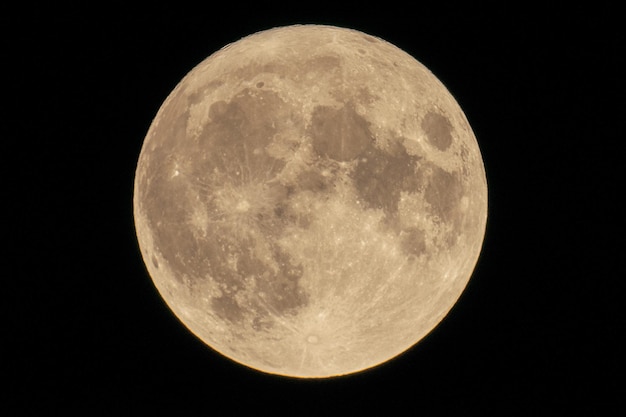 夜空の背景に月を低角度で眺める