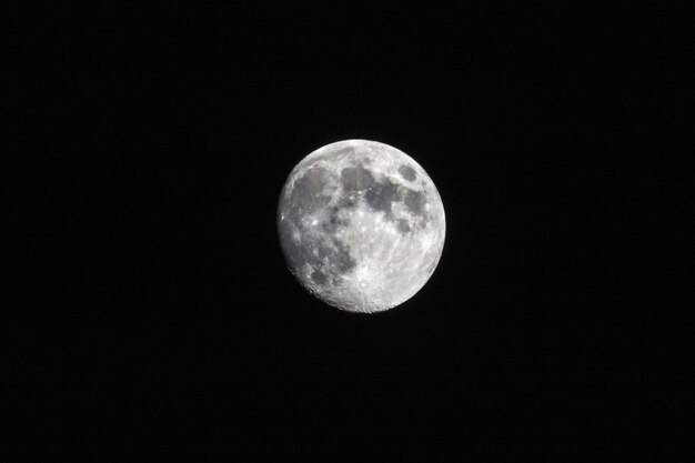 夜空の背景に月を低角度で眺める