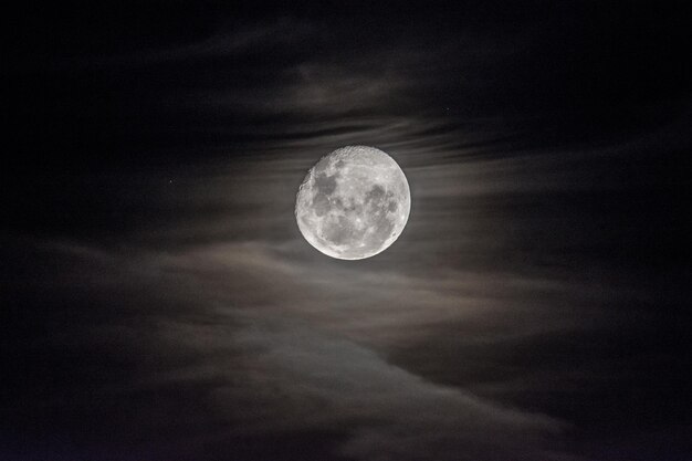 夜空の背景に月を低角度で眺める