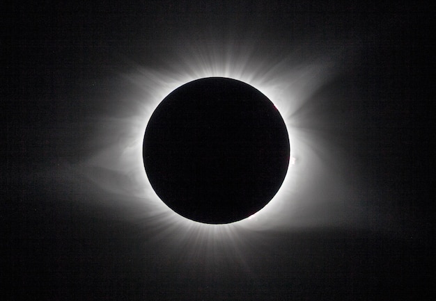 Foto vista a basso angolo della luna contro il cielo