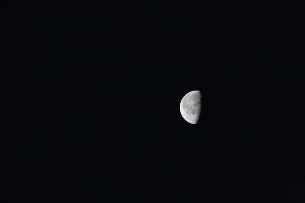 Foto vista a basso angolo della luna di notte