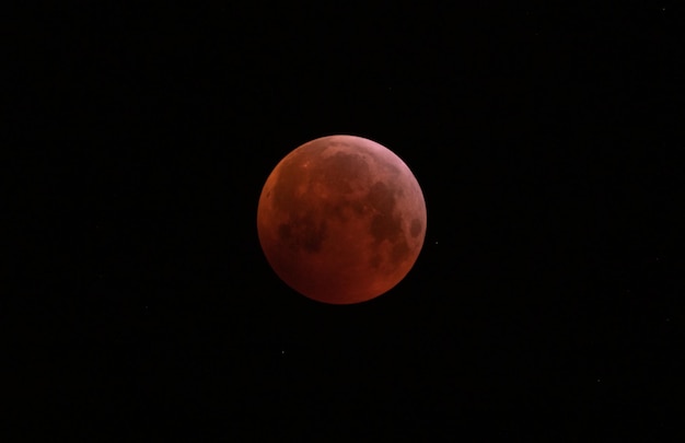 Foto vista a basso angolo della luna nel cielo notturno