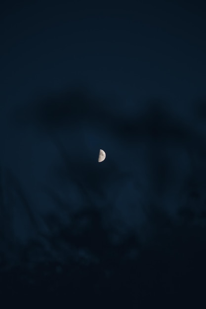 Foto vista a basso angolo della luna nel cielo notturno