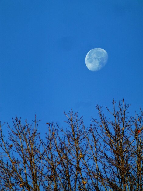 Low angle view of moon in sky