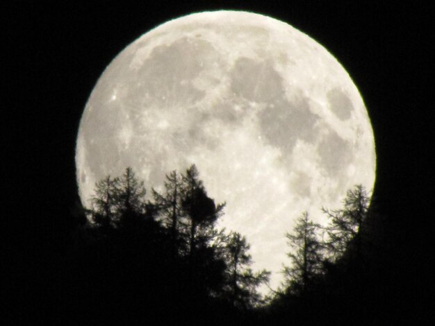 Low angle view of moon in sky