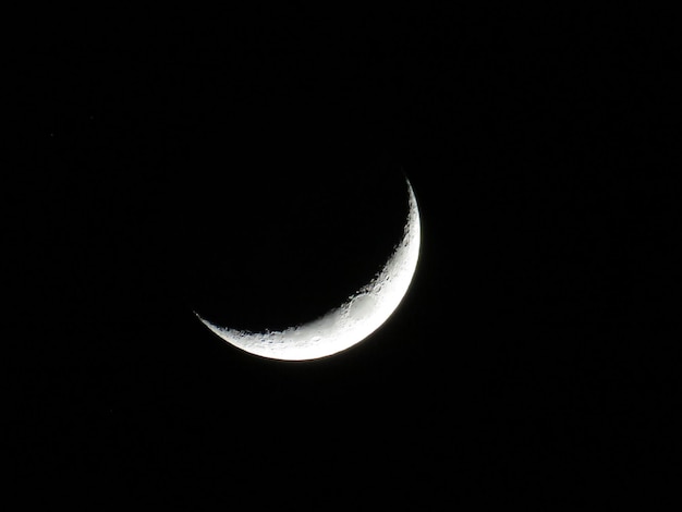 Foto vista a bassa angolazione della luna nel cielo