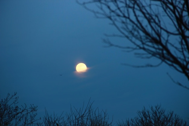 Low angle view of moon in sky