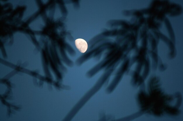 Photo low angle view of moon in sky