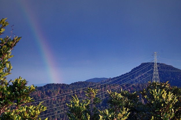 Foto vista a basso angolo della montagna contro il cielo blu