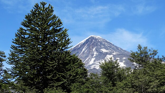 Photo low angle view of mountain against blue sky