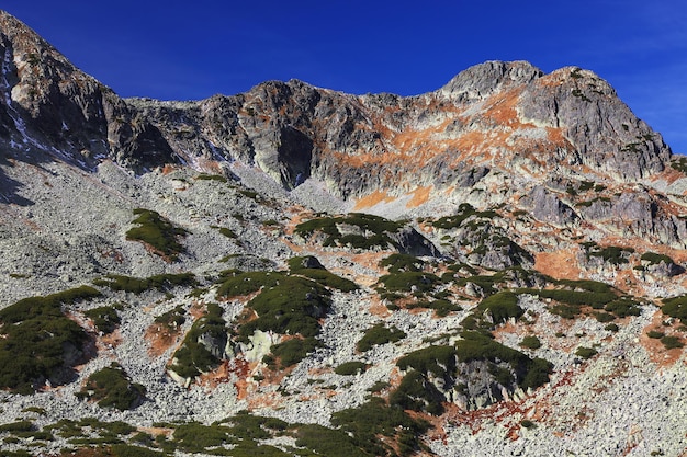 Foto vista a basso angolo della montagna contro un cielo blu limpido