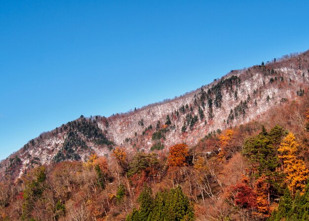 은 파란 하늘을 배경으로 산의 낮은 각도 시각