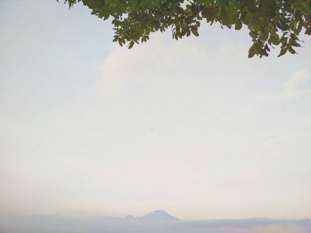 Low angle view of mountain against sky