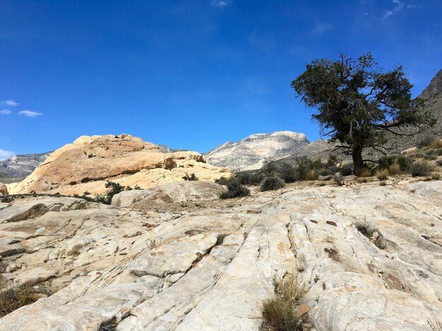 Low angle view of mountains against blue sky