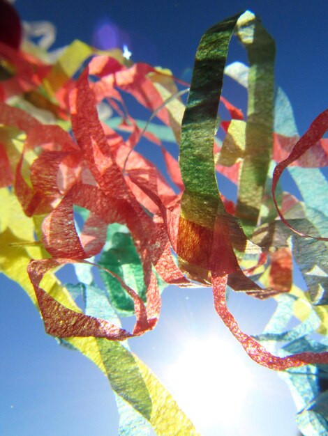 Low angle view of multi colored plant against sky