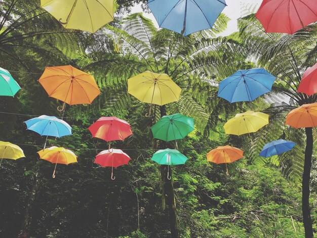 Low angle view of multi colored umbrellas hanging against sky