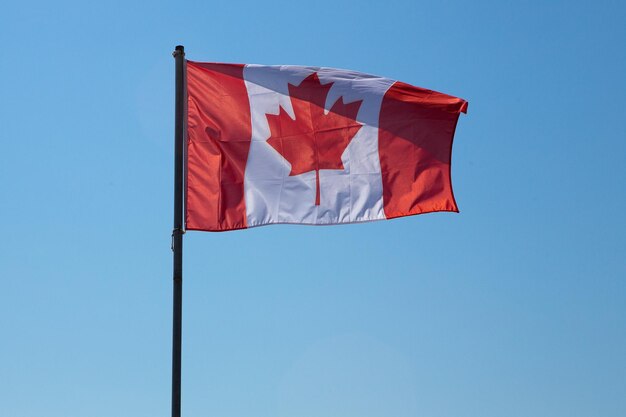 Una vista ad angolo basso sulla bandiera nazionale del canada isolata e al vento contro un cielo blu brillante