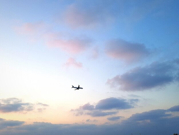 写真 空に向かって飛ぶ飛行機の低角度の景色